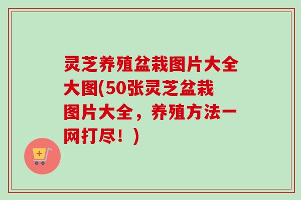 灵芝养殖盆栽图片大全大图(50张灵芝盆栽图片大全,养殖方法一网打尽!)-第1张图片-卓越灵芝孢子粉 灵芝养殖盆栽图片大全大图(50张灵芝盆栽图片大全,养殖方法一网打尽!)-第1张图片-卓越灵芝孢子粉