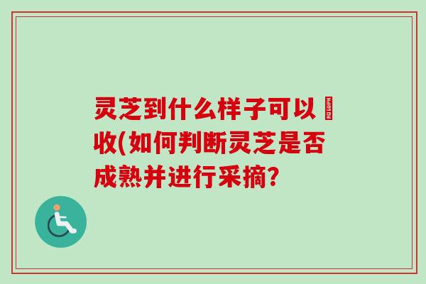 灵芝到什么样子可以釆收(如何判断灵芝是否成熟并进行采摘?-第1张图片-卓越灵芝孢子粉 灵芝到什么样子可以釆收(如何判断灵芝是否成熟并进行采摘?-第1张图片-卓越灵芝孢子粉