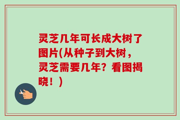 灵芝几年可长成大树了图片(从种子到大树,灵芝需要几年?看图揭晓!)-第1张图片-卓越灵芝孢子粉 灵芝几年可长成大树了图片(从种子到大树,灵芝需要几年?看图揭晓!)-第1张图片-卓越灵芝孢子粉