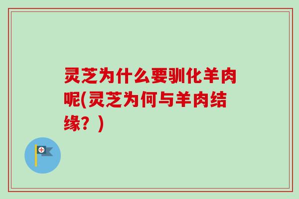 灵芝为什么要驯化羊肉呢(灵芝为何与羊肉结缘?)-第1张图片-卓越灵芝孢子粉 灵芝为什么要驯化羊肉呢(灵芝为何与羊肉结缘?)-第1张图片-卓越灵芝孢子粉