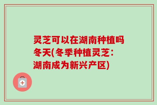 灵芝可以在湖南种植吗冬天(冬季种植灵芝:湖南成为新兴产区)-第1张图片-卓越灵芝孢子粉 灵芝可以在湖南种植吗冬天(冬季种植灵芝:湖南成为新兴产区)-第1张图片-卓越灵芝孢子粉