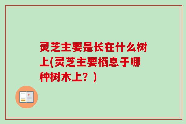 灵芝主要是长在什么树上(灵芝主要栖息于哪种树木上?)-第1张图片-卓越灵芝孢子粉 灵芝主要是长在什么树上(灵芝主要栖息于哪种树木上?)-第1张图片-卓越灵芝孢子粉