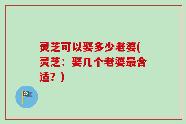 灵芝可以娶多少老婆(灵芝:娶几个老婆最合适?)-第1张图片-卓越灵芝孢子粉 灵芝可以娶多少老婆(灵芝:娶几个老婆最合适?)-第1张图片-卓越灵芝孢子粉