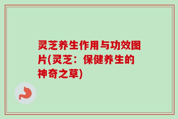 灵芝养生作用与功效图片(灵芝:保健养生的神奇之草)-第1张图片-卓越灵芝孢子粉 灵芝养生作用与功效图片(灵芝:保健养生的神奇之草)-第1张图片-卓越灵芝孢子粉