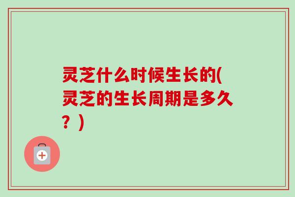 灵芝什么时候生长的(灵芝的生长周期是多久？)-第1张图片-卓越灵芝孢子粉