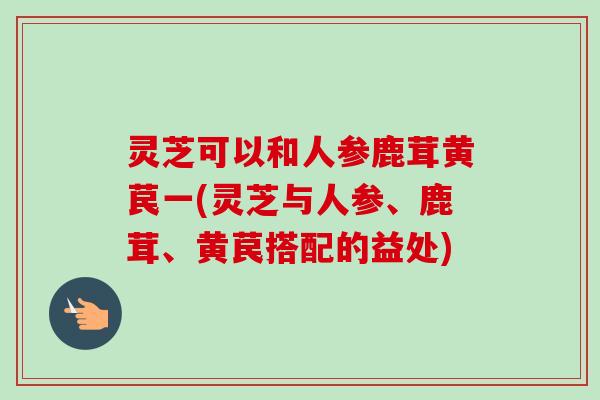 灵芝可以和人参鹿茸黄苠一(灵芝与人参、鹿茸、黄苠搭配的益处)-第1张图片-卓越灵芝孢子粉