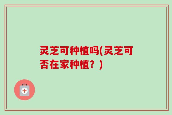 灵芝可种植吗(灵芝可否在家种植?)-第1张图片-卓越灵芝孢子粉 灵芝可种植吗(灵芝可否在家种植?)-第1张图片-卓越灵芝孢子粉