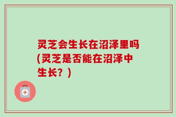 灵芝会生长在沼泽里吗(灵芝是否能在沼泽中生长?)-第1张图片-卓越灵芝孢子粉 灵芝会生长在沼泽里吗(灵芝是否能在沼泽中生长?)-第1张图片-卓越灵芝孢子粉