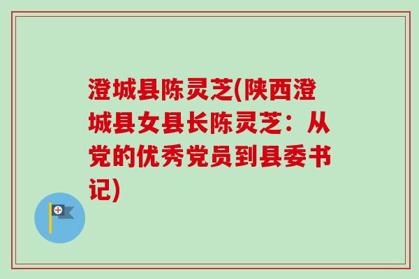 澄城县陈灵芝(陕西澄城县女县长陈灵芝：从党的优秀党员到县委书记)-第1张图片-卓越灵芝孢子粉