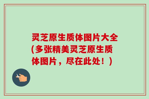 灵芝原生质体图片大全(多张精美灵芝原生质体图片，尽在此处！)-第1张图片-卓越灵芝孢子粉