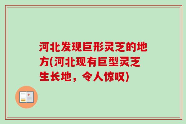 河北发现巨形灵芝的地方(河北现有巨型灵芝生长地,令人惊叹)-第1张图片-卓越灵芝孢子粉 河北发现巨形灵芝的地方(河北现有巨型灵芝生长地,令人惊叹)-第1张图片-卓越灵芝孢子粉