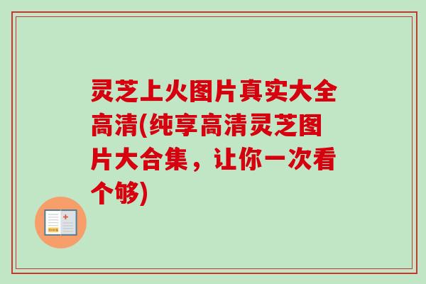 灵芝上火图片真实大全高清(纯享高清灵芝图片大合集,让你一次看个够)-第1张图片-卓越灵芝孢子粉 灵芝上火图片真实大全高清(纯享高清灵芝图片大合集,让你一次看个够)-第1张图片-卓越灵芝孢子粉