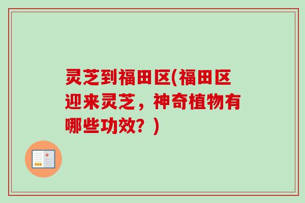 灵芝到福田区(福田区迎来灵芝，神奇植物有哪些功效？)-第1张图片-卓越灵芝孢子粉