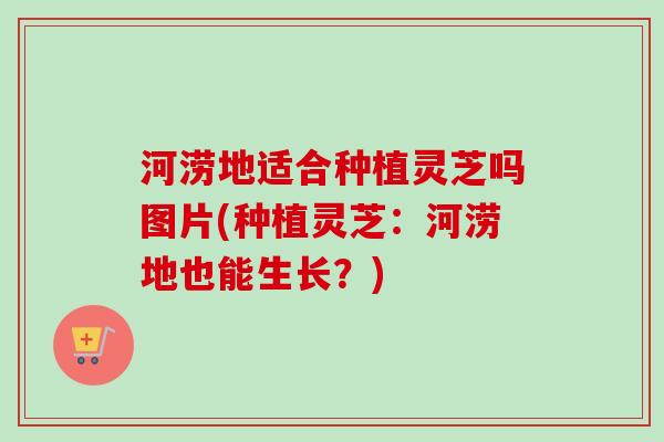 河涝地适合种植灵芝吗图片(种植灵芝:河涝地也能生长?)-第1张图片-卓越灵芝孢子粉 河涝地适合种植灵芝吗图片(种植灵芝:河涝地也能生长?)-第1张图片-卓越灵芝孢子粉