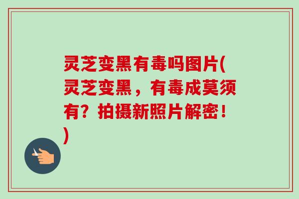 灵芝变黑有毒吗图片(灵芝变黑,有毒成莫须有?拍摄新照片解密!)-第1张图片-卓越灵芝孢子粉 灵芝变黑有毒吗图片(灵芝变黑,有毒成莫须有?拍摄新照片解密!)-第1张图片-卓越灵芝孢子粉