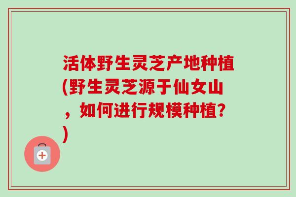活体野生灵芝产地种植(野生灵芝源于仙女山，如何进行规模种植？)-第1张图片-卓越灵芝孢子粉