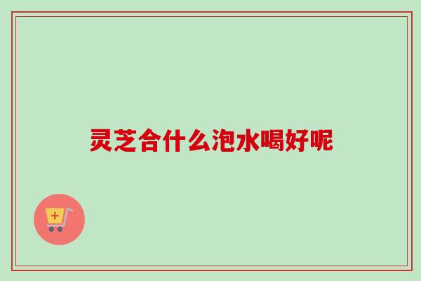 灵芝合什么泡水喝好呢-第1张图片-卓越灵芝孢子粉