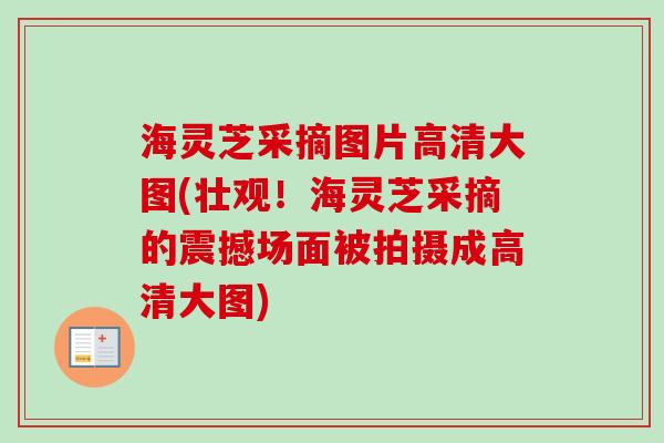 海灵芝采摘图片高清大图(壮观!海灵芝采摘的震撼场面被拍摄成高清大图)-第1张图片-卓越灵芝孢子粉 海灵芝采摘图片高清大图(壮观!海灵芝采摘的震撼场面被拍摄成高清大图)-第1张图片-卓越灵芝孢子粉
