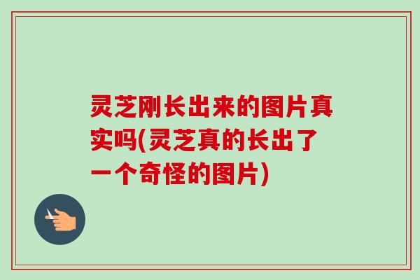 灵芝刚长出来的图片真实吗(灵芝真的长出了一个奇怪的图片)-第1张图片-卓越灵芝孢子粉