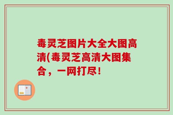 毒灵芝图片大全大图高清(毒灵芝高清大图集合,一网打尽!-第1张图片-卓越灵芝孢子粉 毒灵芝图片大全大图高清(毒灵芝高清大图集合,一网打尽!-第1张图片-卓越灵芝孢子粉