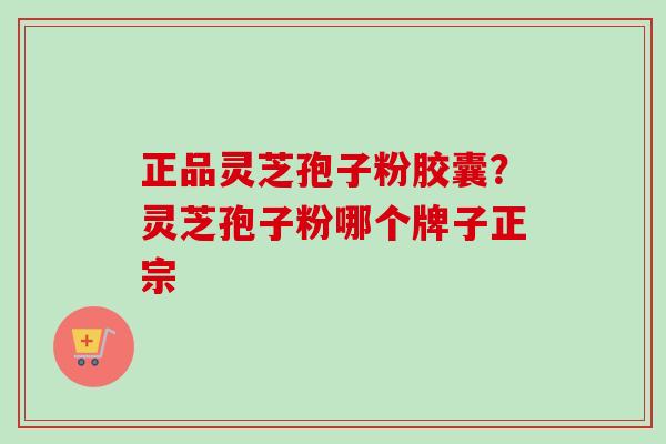 正品灵芝孢子粉胶囊？灵芝孢子粉哪个牌子正宗-第1张图片-卓越灵芝孢子粉