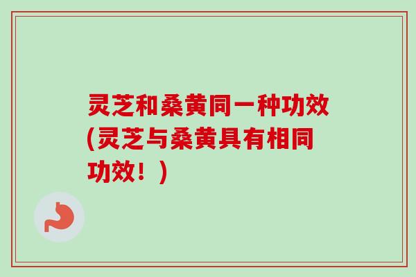 灵芝和桑黄同一种功效(灵芝与桑黄具有相同功效!)-第1张图片-卓越灵芝孢子粉 灵芝和桑黄同一种功效(灵芝与桑黄具有相同功效!)-第1张图片-卓越灵芝孢子粉