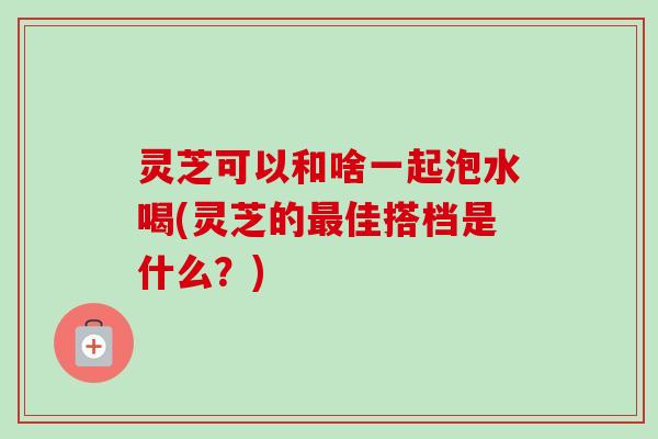 灵芝可以和啥一起泡水喝(灵芝的最佳搭档是什么？)-第1张图片-卓越灵芝孢子粉