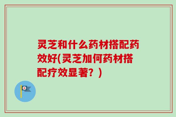 灵芝和什么药材搭配药效好(灵芝加何药材搭配疗效显著?)-第1张图片-卓越灵芝孢子粉 灵芝和什么药材搭配药效好(灵芝加何药材搭配疗效显著?)-第1张图片-卓越灵芝孢子粉