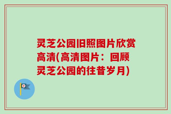 灵芝公园旧照图片欣赏高清(高清图片:回顾灵芝公园的往昔岁月)-第1张图片-卓越灵芝孢子粉 灵芝公园旧照图片欣赏高清(高清图片:回顾灵芝公园的往昔岁月)-第1张图片-卓越灵芝孢子粉