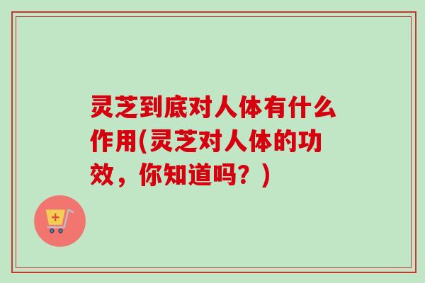 灵芝到底对人体有什么作用(灵芝对人体的功效，你知道吗？)-第1张图片-卓越灵芝孢子粉