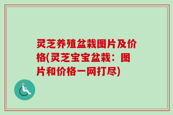 灵芝养殖盆栽图片及价格(灵芝宝宝盆栽:图片和价格一网打尽)-第1张图片-卓越灵芝孢子粉 灵芝养殖盆栽图片及价格(灵芝宝宝盆栽:图片和价格一网打尽)-第1张图片-卓越灵芝孢子粉