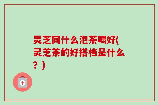 灵芝同什么泡茶喝好(灵芝茶的好搭档是什么?)-第1张图片-卓越灵芝孢子粉 灵芝同什么泡茶喝好(灵芝茶的好搭档是什么?)-第1张图片-卓越灵芝孢子粉