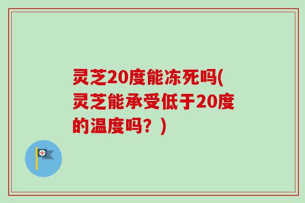 灵芝20度能冻死吗(灵芝能承受低于20度的温度吗？)-第1张图片-卓越灵芝孢子粉