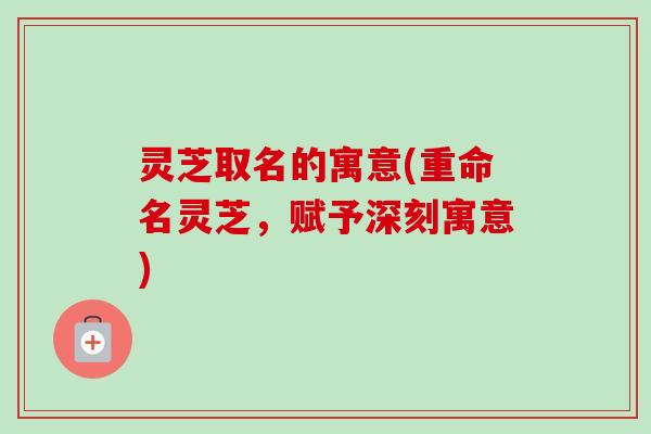 灵芝取名的寓意(重命名灵芝,赋予深刻寓意)-第1张图片-卓越灵芝孢子粉 灵芝取名的寓意(重命名灵芝,赋予深刻寓意)-第1张图片-卓越灵芝孢子粉