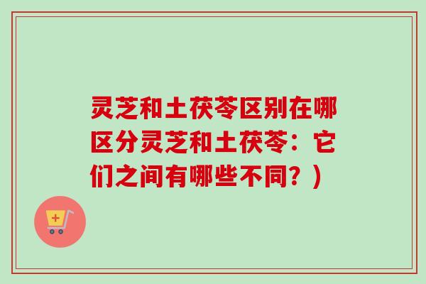 灵芝和土茯苓区别在哪区分灵芝和土茯苓:它们之间有哪些不同?)-第1张图片-卓越灵芝孢子粉 灵芝和土茯苓区别在哪区分灵芝和土茯苓:它们之间有哪些不同?)-第1张图片-卓越灵芝孢子粉