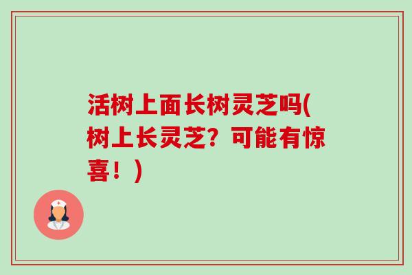 活树上面长树灵芝吗(树上长灵芝?可能有惊喜!)-第1张图片-卓越灵芝孢子粉 活树上面长树灵芝吗(树上长灵芝?可能有惊喜!)-第1张图片-卓越灵芝孢子粉