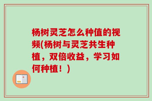 杨树灵芝怎么种值的视频(杨树与灵芝共生种植,双倍收益,学习如何种植!)-第1张图片-卓越灵芝孢子粉 杨树灵芝怎么种值的视频(杨树与灵芝共生种植,双倍收益,学习如何种植!)-第1张图片-卓越灵芝孢子粉