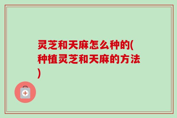 灵芝和天麻怎么种的(种植灵芝和天麻的方法)-第1张图片-卓越灵芝孢子粉 灵芝和天麻怎么种的(种植灵芝和天麻的方法)-第1张图片-卓越灵芝孢子粉