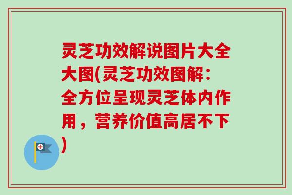 灵芝功效解说图片大全大图(灵芝功效图解：全方位呈现灵芝体内作用，营养价值高居不下)-第1张图片-卓越灵芝孢子粉
