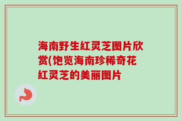 海南野生红灵芝图片欣赏(饱览海南珍稀奇花红灵芝的美丽图片-第1张图片-卓越灵芝孢子粉 海南野生红灵芝图片欣赏(饱览海南珍稀奇花红灵芝的美丽图片-第1张图片-卓越灵芝孢子粉