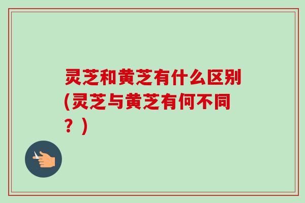 灵芝和黄芝有什么区别(灵芝与黄芝有何不同?)-第1张图片-卓越灵芝孢子粉 灵芝和黄芝有什么区别(灵芝与黄芝有何不同?)-第1张图片-卓越灵芝孢子粉