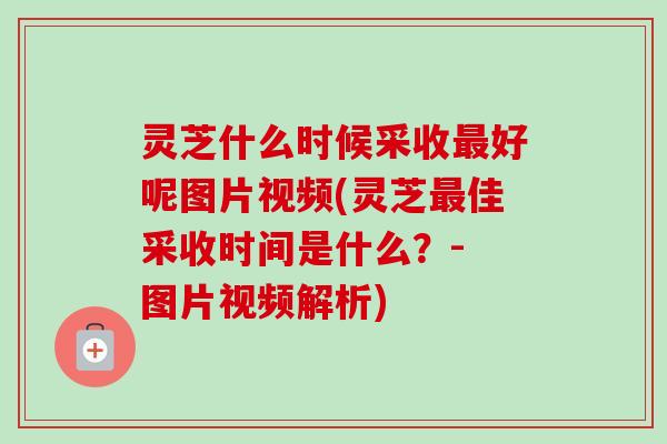 灵芝什么时候采收最好呢图片视频(灵芝最佳采收时间是什么?- 图片视频解析)-第1张图片-卓越灵芝孢子粉 灵芝什么时候采收最好呢图片视频(灵芝最佳采收时间是什么?- 图片视频解析)-第1张图片-卓越灵芝孢子粉
