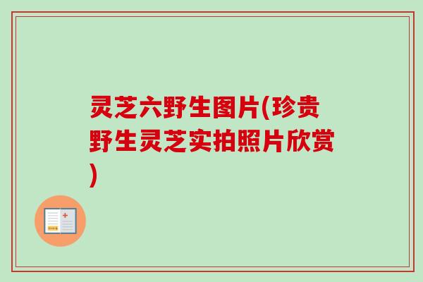 灵芝六野生图片(珍贵野生灵芝实拍照片欣赏)-第1张图片-卓越灵芝孢子粉 灵芝六野生图片(珍贵野生灵芝实拍照片欣赏)-第1张图片-卓越灵芝孢子粉