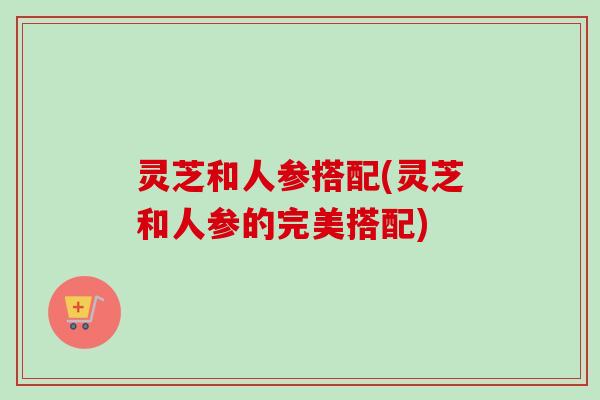 灵芝和人参搭配(灵芝和人参的完美搭配)-第1张图片-卓越灵芝孢子粉