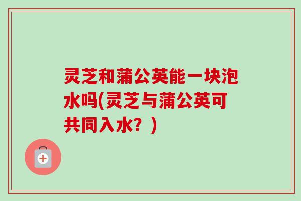 灵芝和蒲公英能一块泡水吗(灵芝与蒲公英可共同入水？)-第1张图片-卓越灵芝孢子粉