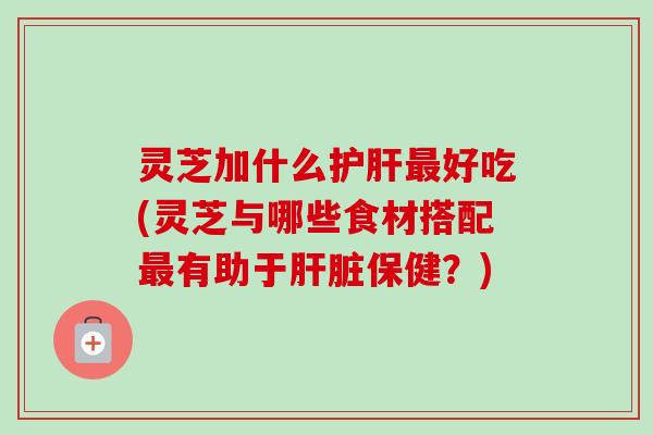 灵芝加什么护肝最好吃(灵芝与哪些食材搭配最有助于肝脏保健?)-第1张图片-卓越灵芝孢子粉 灵芝加什么护肝最好吃(灵芝与哪些食材搭配最有助于肝脏保健?)-第1张图片-卓越灵芝孢子粉