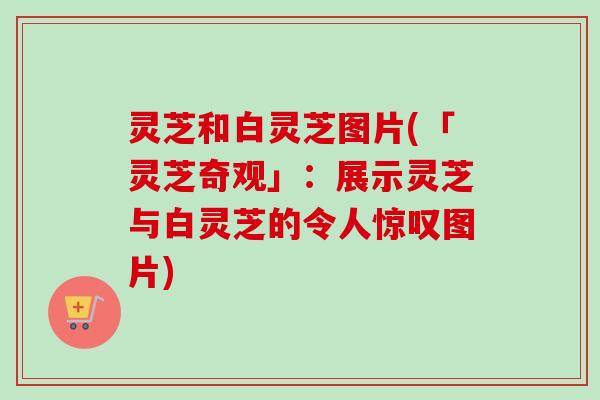 灵芝和白灵芝图片(「灵芝奇观」:展示灵芝与白灵芝的令人惊叹图片)-第1张图片-卓越灵芝孢子粉 灵芝和白灵芝图片(「灵芝奇观」:展示灵芝与白灵芝的令人惊叹图片)-第1张图片-卓越灵芝孢子粉