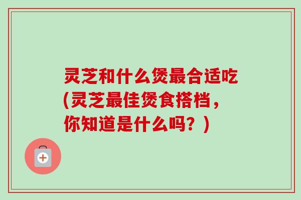 灵芝和什么煲最合适吃(灵芝最佳煲食搭档,你知道是什么吗?)-第1张图片-卓越灵芝孢子粉 灵芝和什么煲最合适吃(灵芝最佳煲食搭档,你知道是什么吗?)-第1张图片-卓越灵芝孢子粉