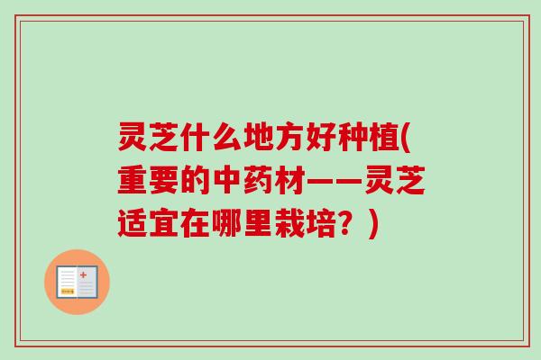 灵芝什么地方好种植(重要的中药材——灵芝适宜在哪里栽培？)-第1张图片-卓越灵芝孢子粉