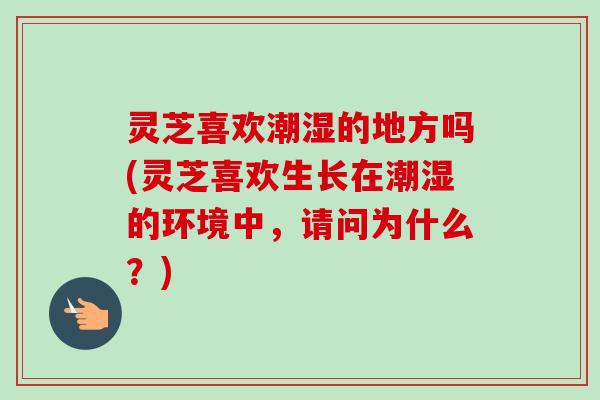 灵芝喜欢潮湿的地方吗(灵芝喜欢生长在潮湿的环境中,请问为什么?)-第1张图片-卓越灵芝孢子粉 灵芝喜欢潮湿的地方吗(灵芝喜欢生长在潮湿的环境中,请问为什么?)-第1张图片-卓越灵芝孢子粉